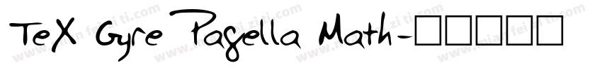TeX Gyre Pagella Math字体转换